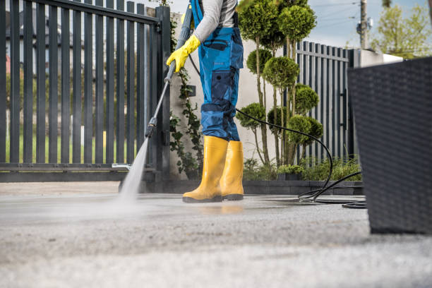 Best Roof Pressure Washing  in Desloge, MO